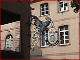 015_Miluza.JPG