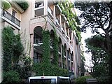 IMG_2023.JPG
