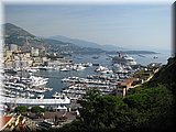 IMG_2083.JPG