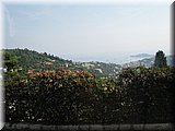 IMG_2184.JPG