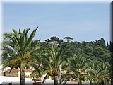 IMG_2205.JPG