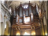 IMG_2231.JPG