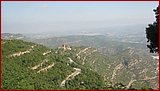IMG_2392.JPG
