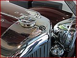 IMG_3007.JPG