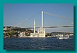 IMG_0264.JPG