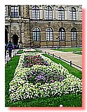 IMG_8554.JPG