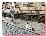 IMG_8564.JPG