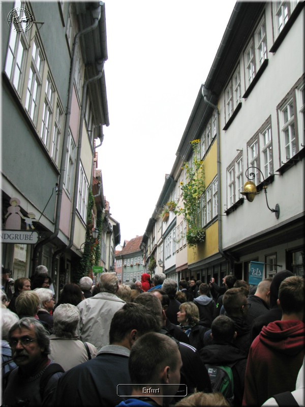 IMG_8450.JPG
