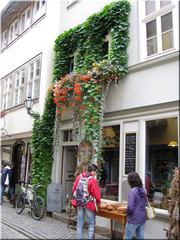 IMG_8453.JPG