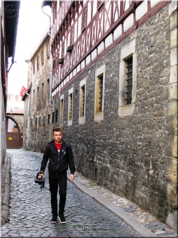 IMG_8467.JPG