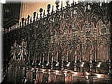 IMG_8428.JPG