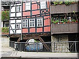 IMG_8448.JPG
