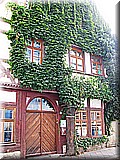 IMG_8468.JPG