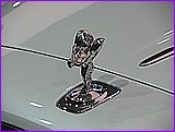 IMG_8278.JPG