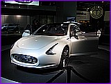 IMG_8342.JPG