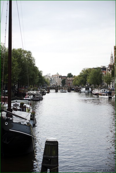 DSC_5865.jpg