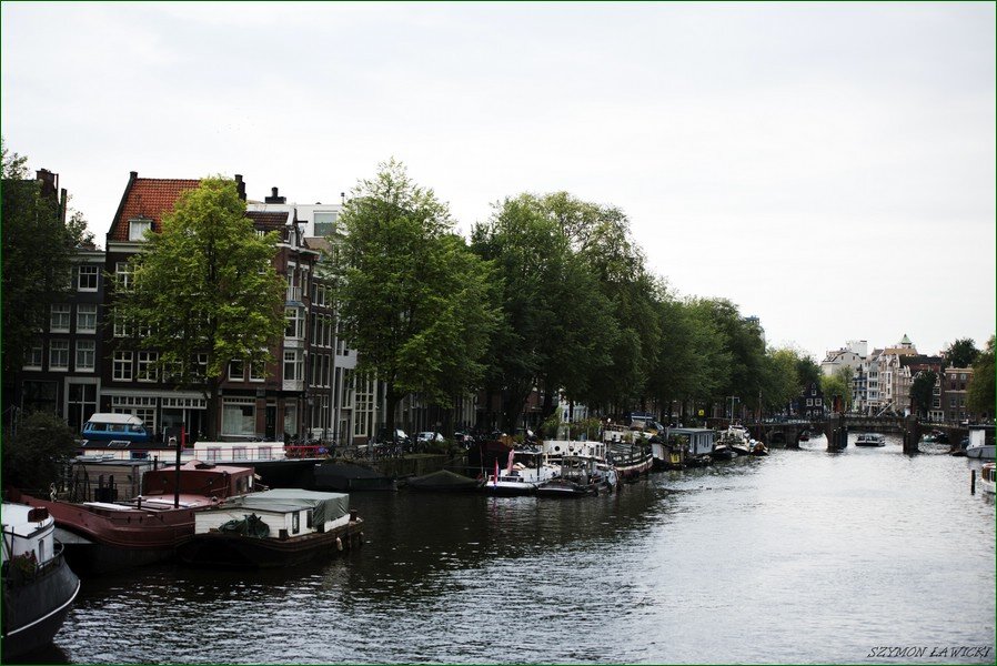DSC_5866.jpg