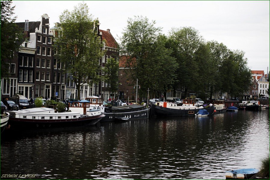 DSC_5869.jpg