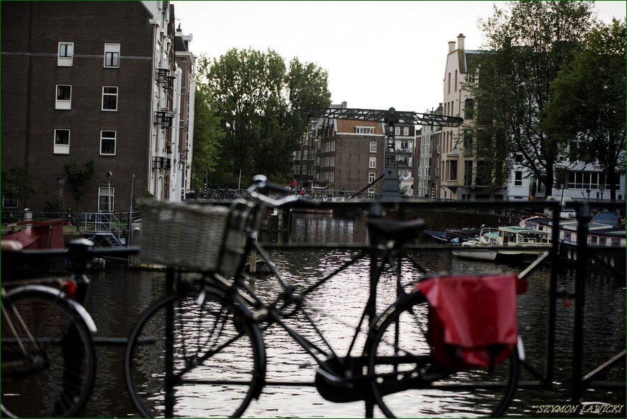 DSC_5870.jpg
