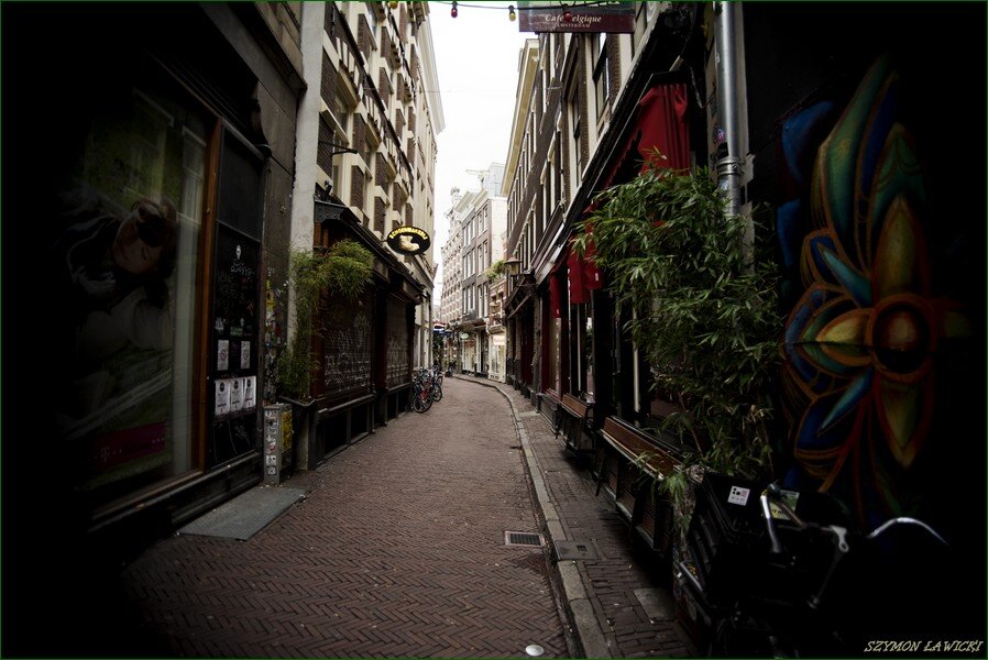 DSC_5906.jpg