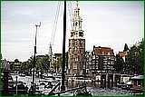 DSC_5864.jpg