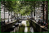 DSC_5877.jpg