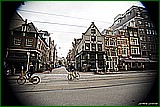 DSC_5946.jpg