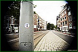 DSC_5950.jpg