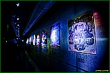 DSC_6004.jpg