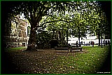 DSC_6089.jpg