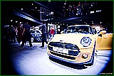 DSC_6128.jpg