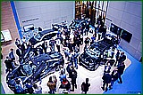 DSC_6146.jpg