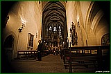 DSC_6214.jpg