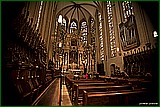 DSC_6219.jpg