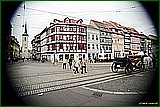 DSC_6232.jpg