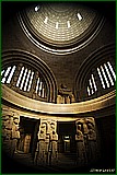 DSC_6261.jpg