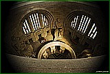 DSC_6263.jpg