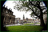 DSC_6291.jpg