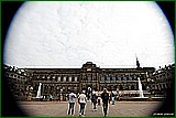 DSC_6310.jpg