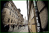 DSC_6317.jpg