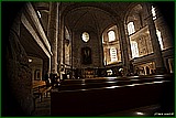 DSC_6326.jpg