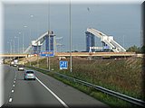 IMG_7904.JPG