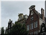 IMG_7981.JPG