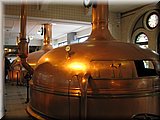 IMG_8000.JPG