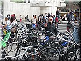 IMG_8049.JPG