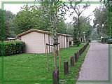 IMG_8051.JPG