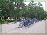 IMG_8058.JPG