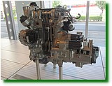 IMG_5566.JPG