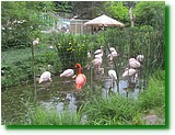 IMG_5613.JPG