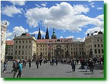 IMG_5667.JPG